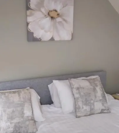 Homestay Paddy's Palace Kilarney